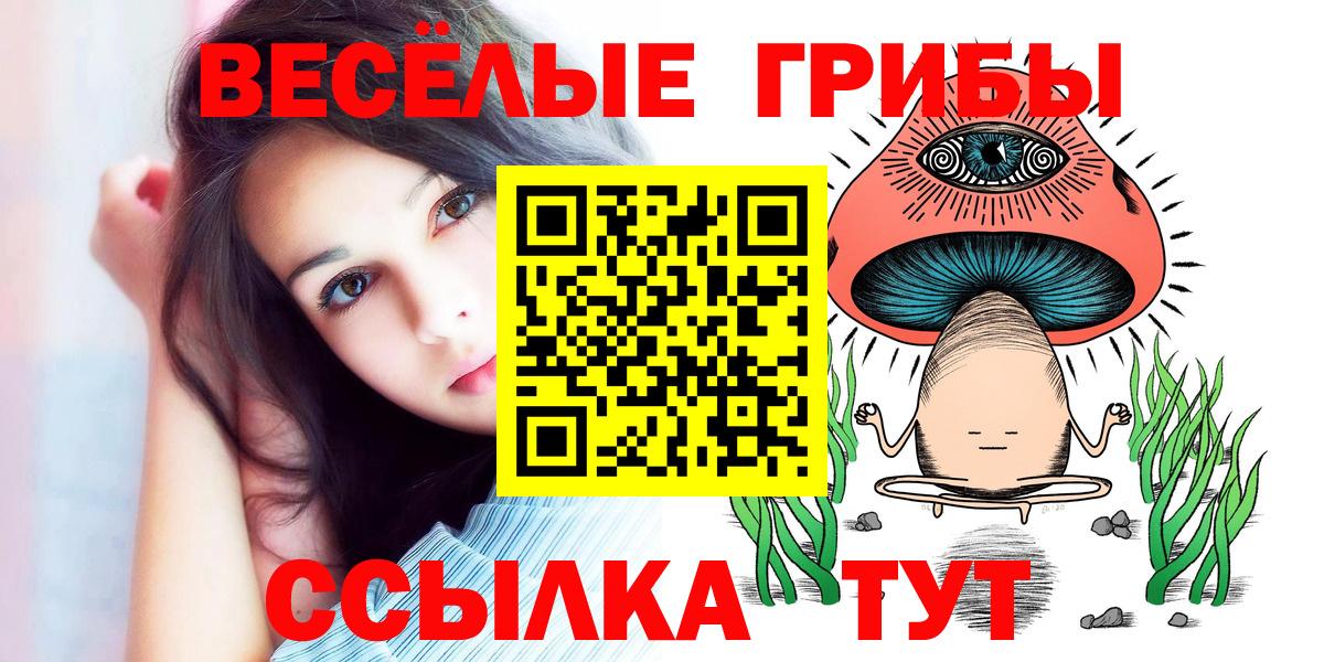 Псилоцибиновые грибы Cubensis  Вход с VPN  Киреевск  Галлюциногенные грибы мицелий 