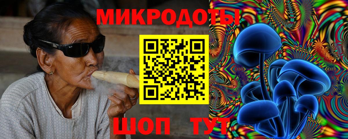 Галлюциногенные грибы Psilocybe Киреевск